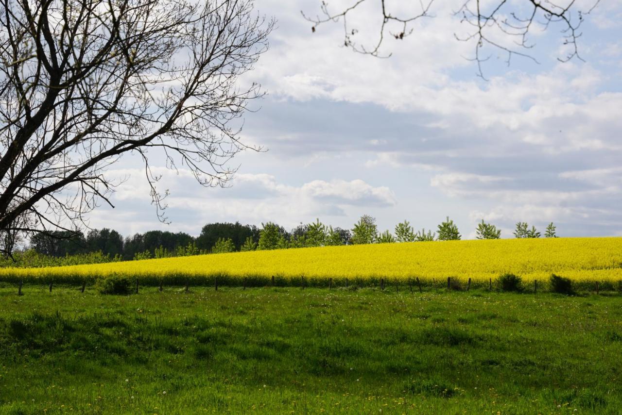 Bed and Breakfast La Grange De Felicie Charrey-sur-Saone Екстер'єр фото